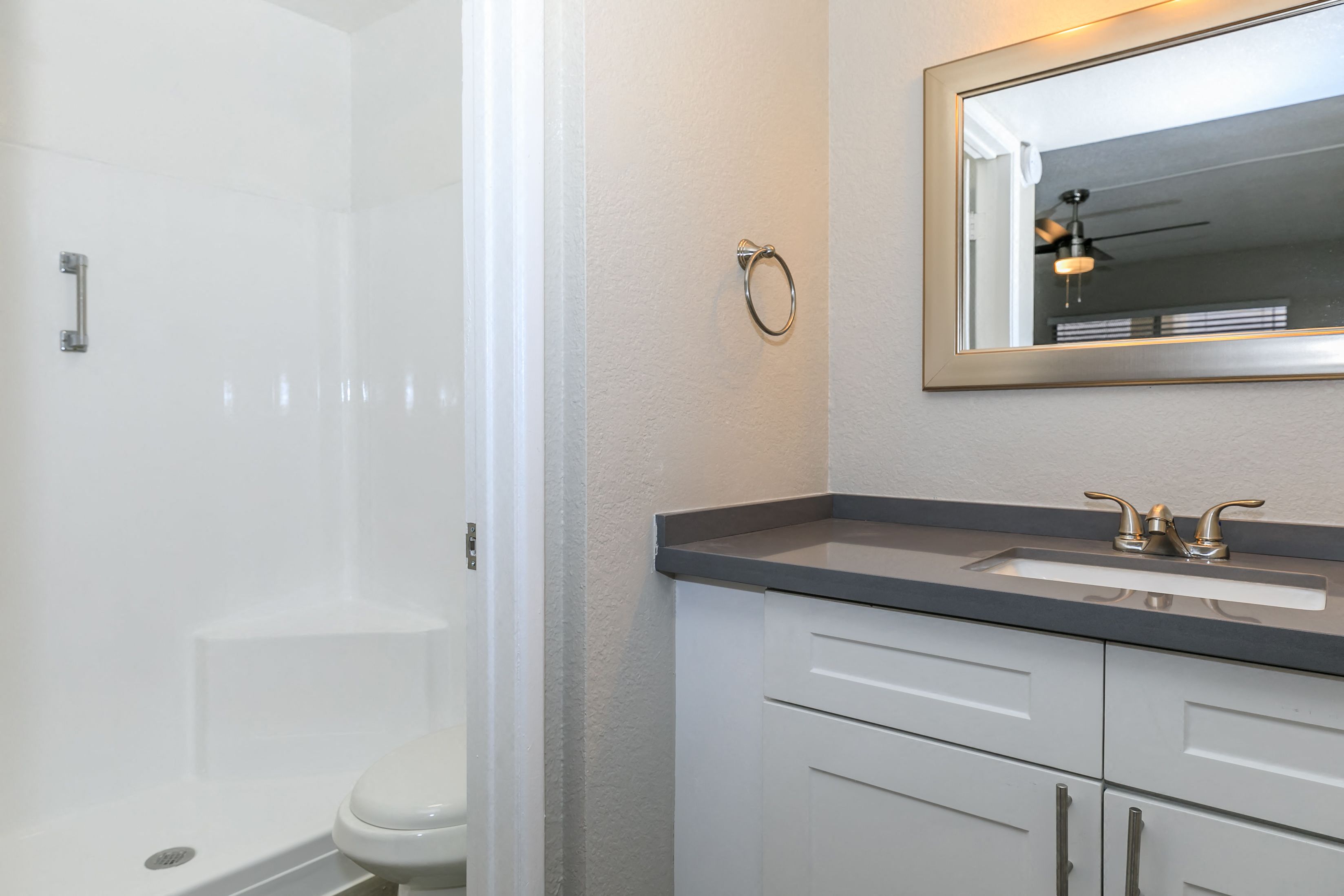 a bathroom with a sink and a toilet and a mirror