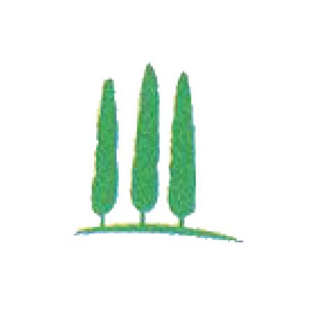 Logo Park-Apotheke Inh. Thomas Lange e.K.