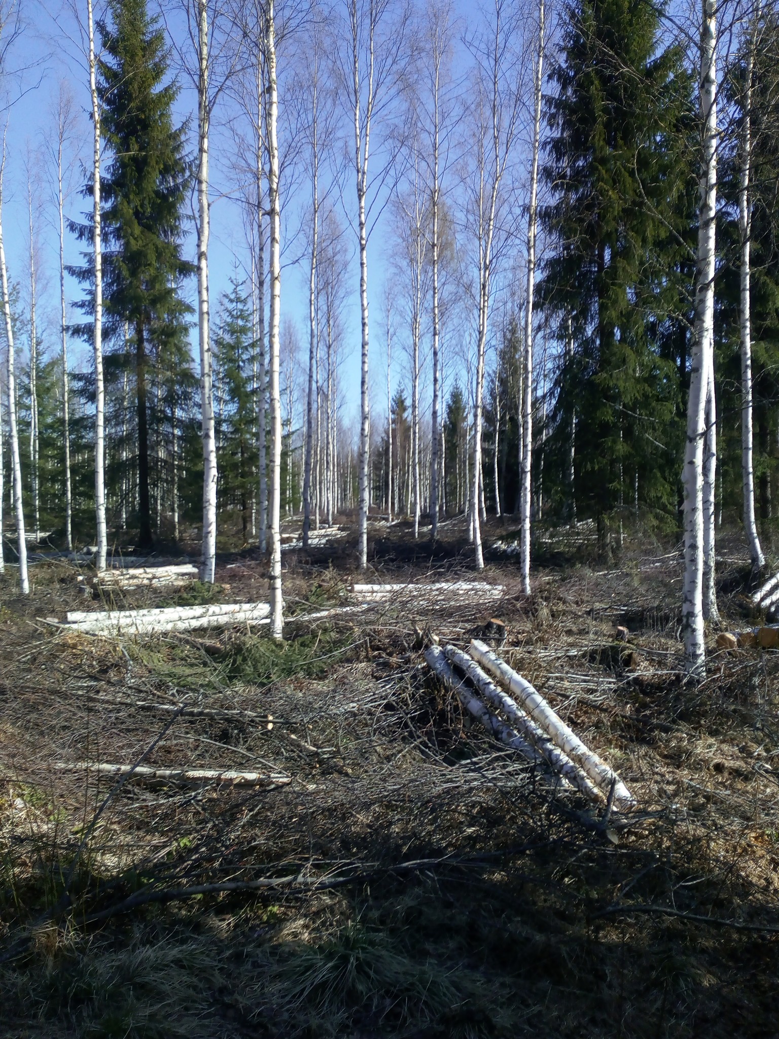 Images Tmi Monitoimi Pollari