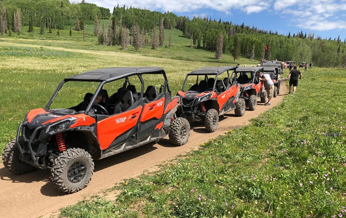 The Cabins at Bear River Lodge Image
