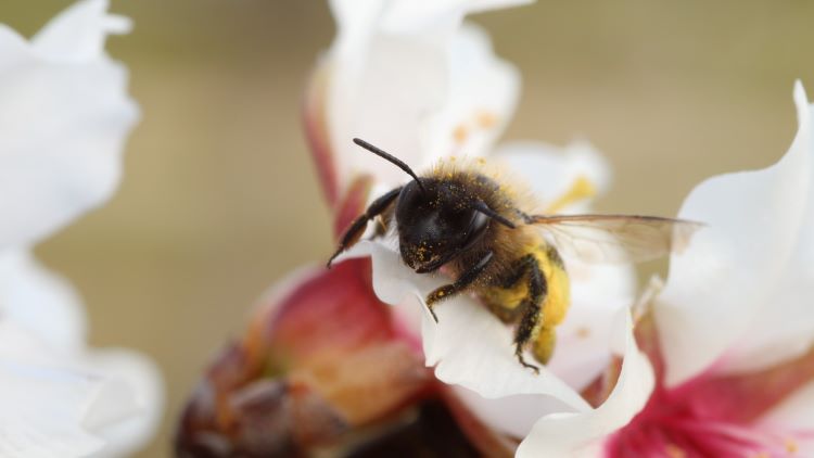 Images Zeus Società Cooperativa