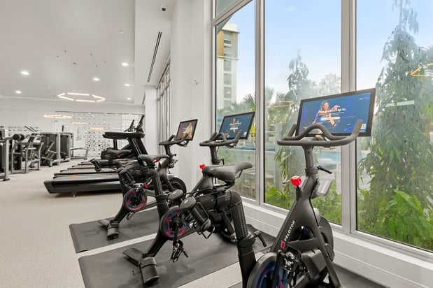 Images The Marc Apartments