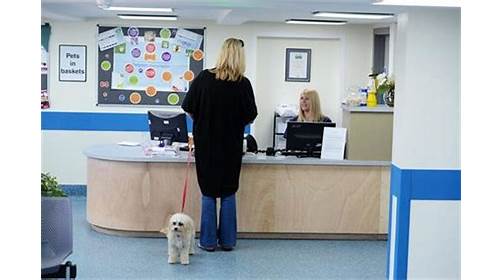 Images Eastfield Veterinary Clinic, Grimsby