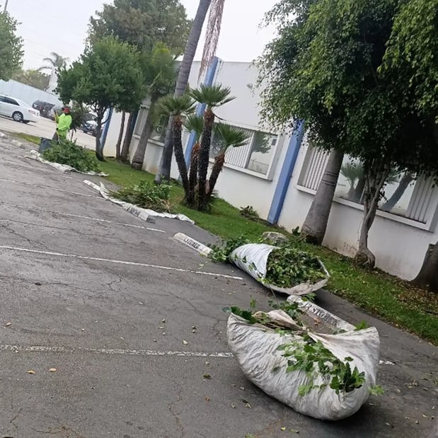 Images Canalez Gardening Service