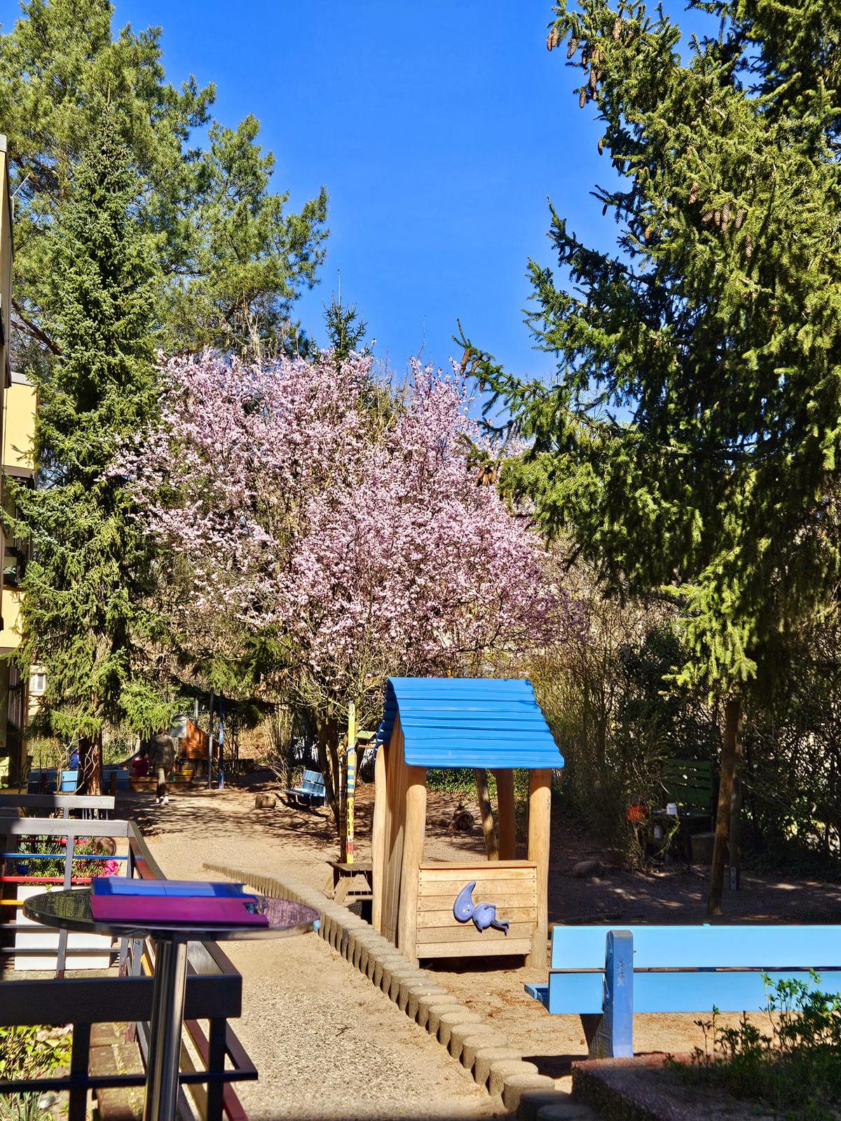 Bild 3 AWO Kita Tautropfen in Berlin