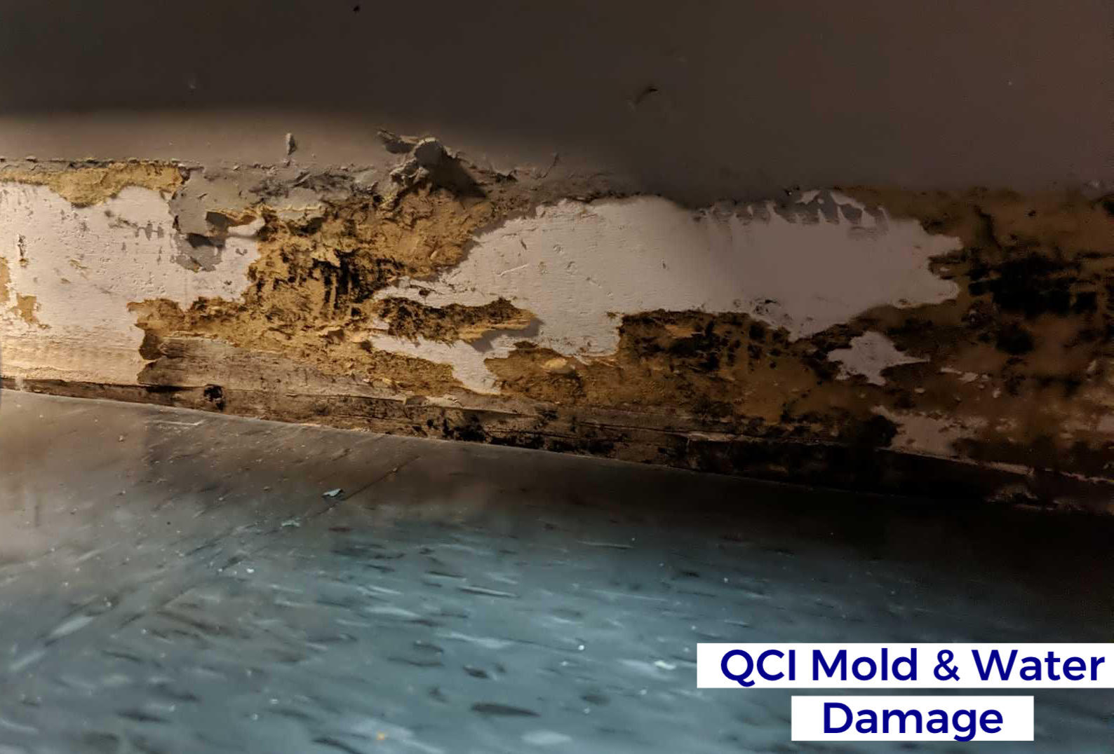 Image 5 | QCI Mold and Water Damage