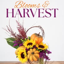 Images City Florist & Gift Shop