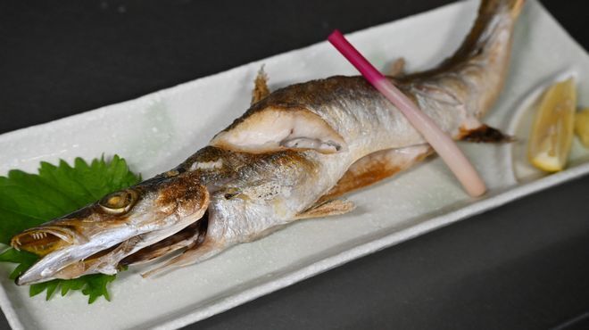 Images 笠市寿し龍