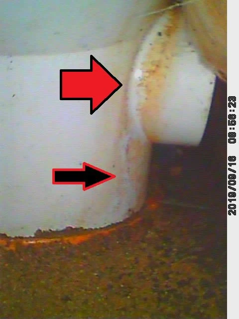 Images Damp Detectives