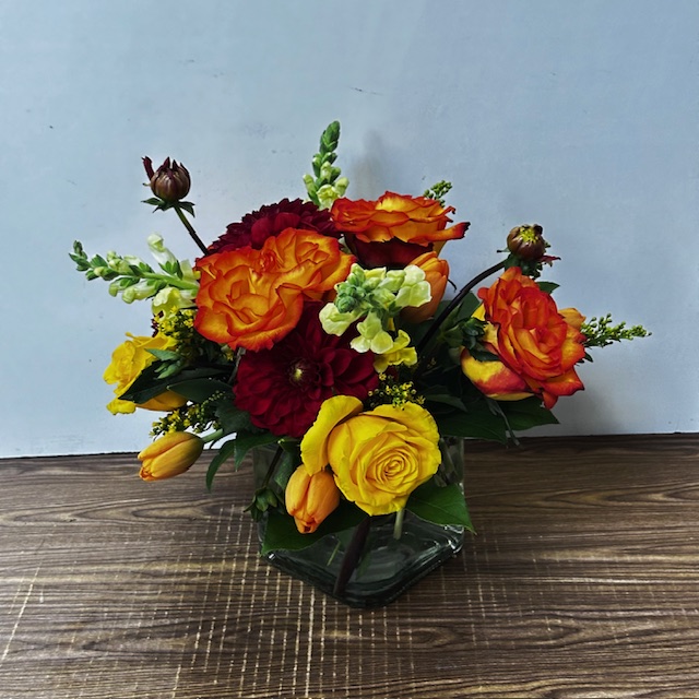 Images Jane's Roses & Flowers