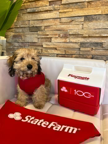 Images Dan Baird - State Farm Insurance Agent