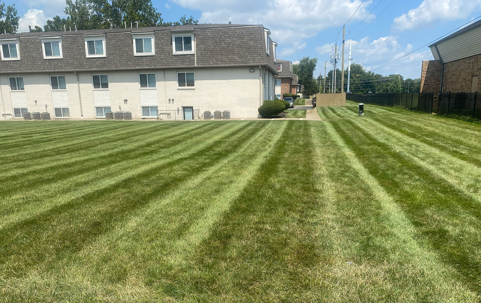 Rooted Lawn & Landscape Image