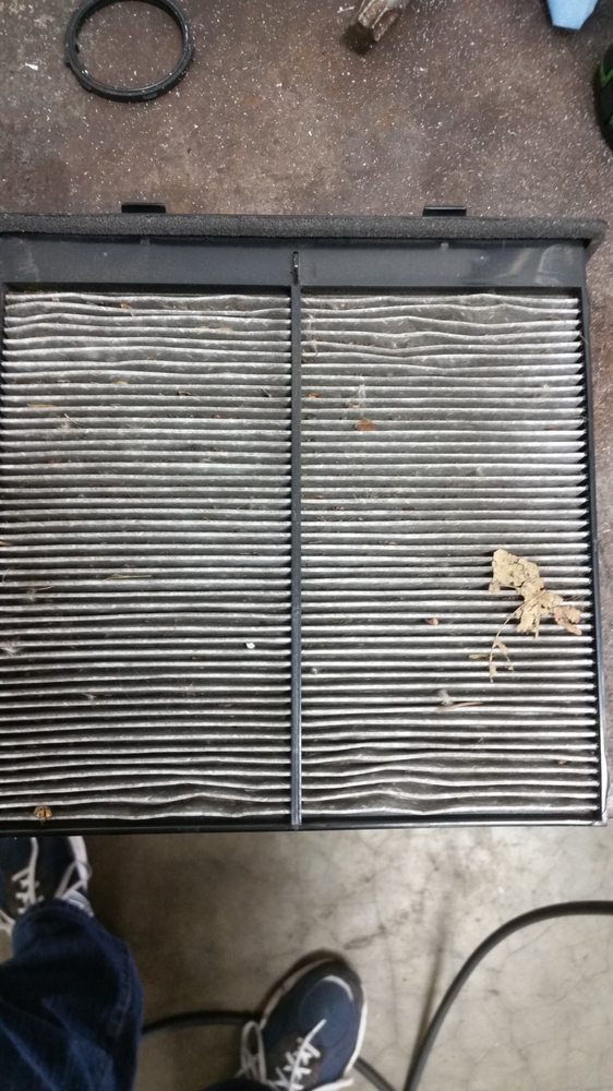 Do you know what your cabin air filter looks like? Get it checked!