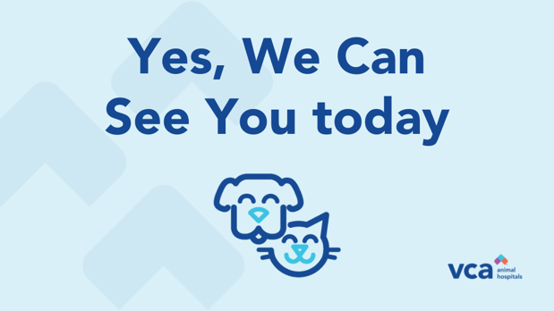 Images Nassau-Suffolk Animal Hospital