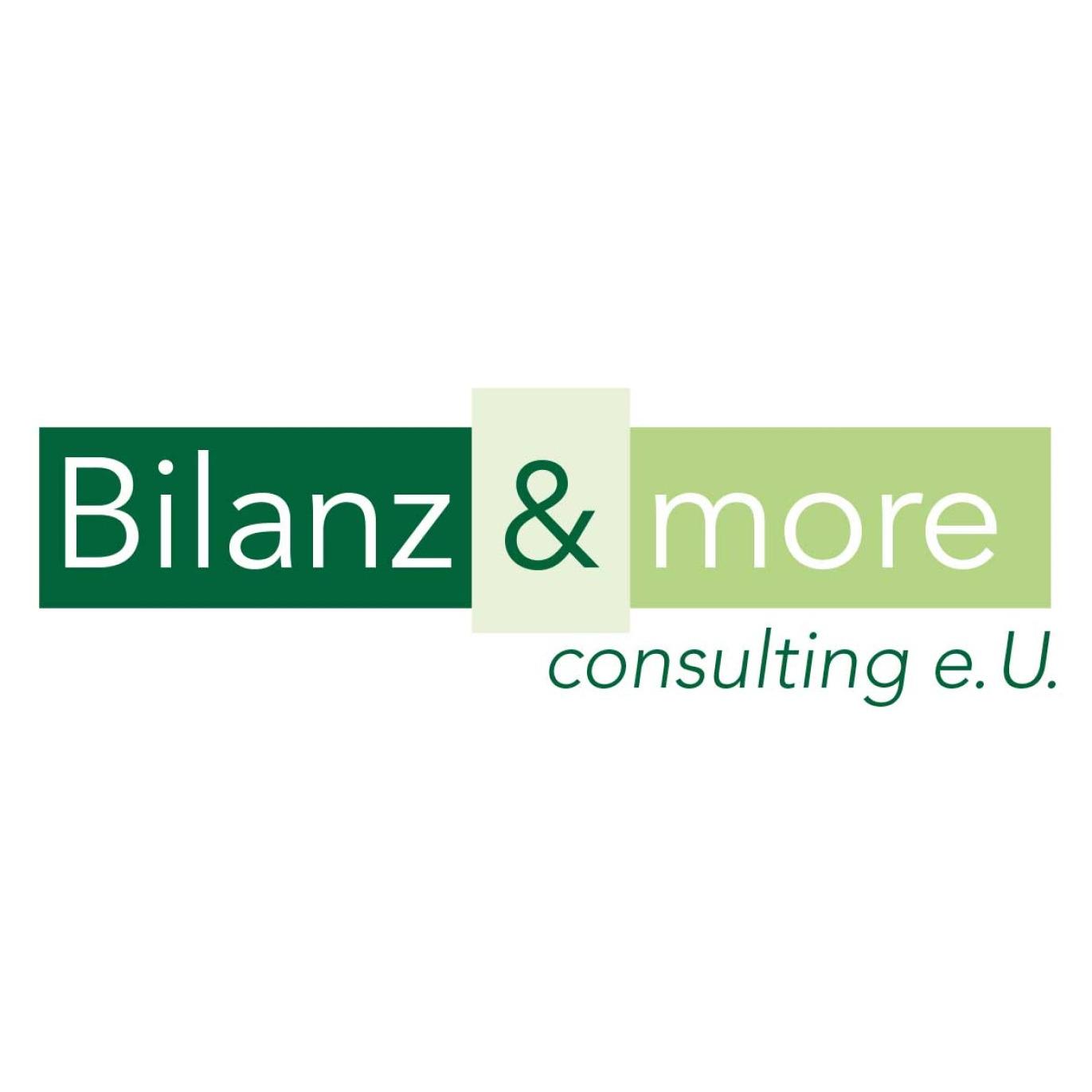 Bilanz & more consulting e.U. Logo