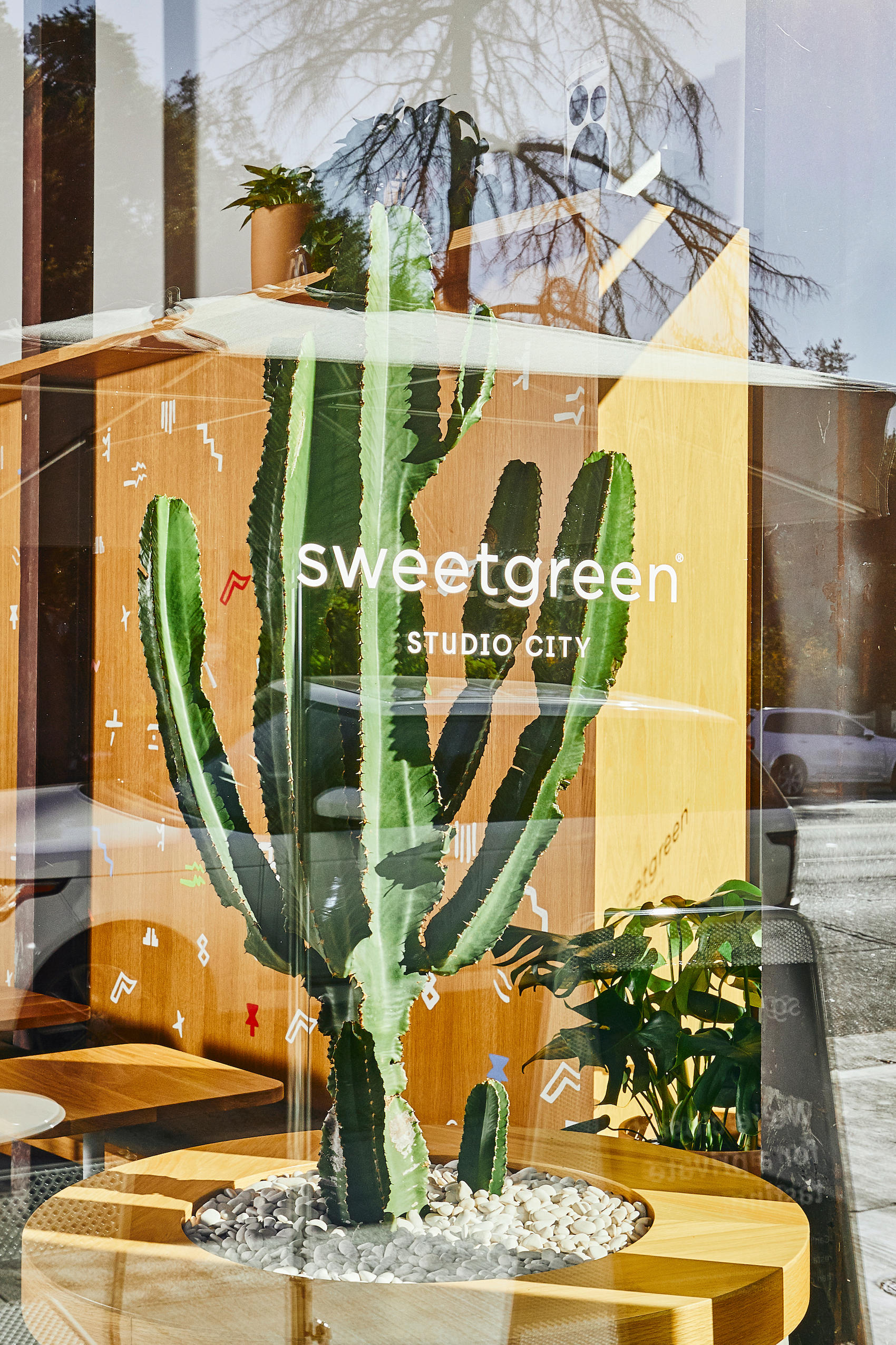 sweetgreen Photo