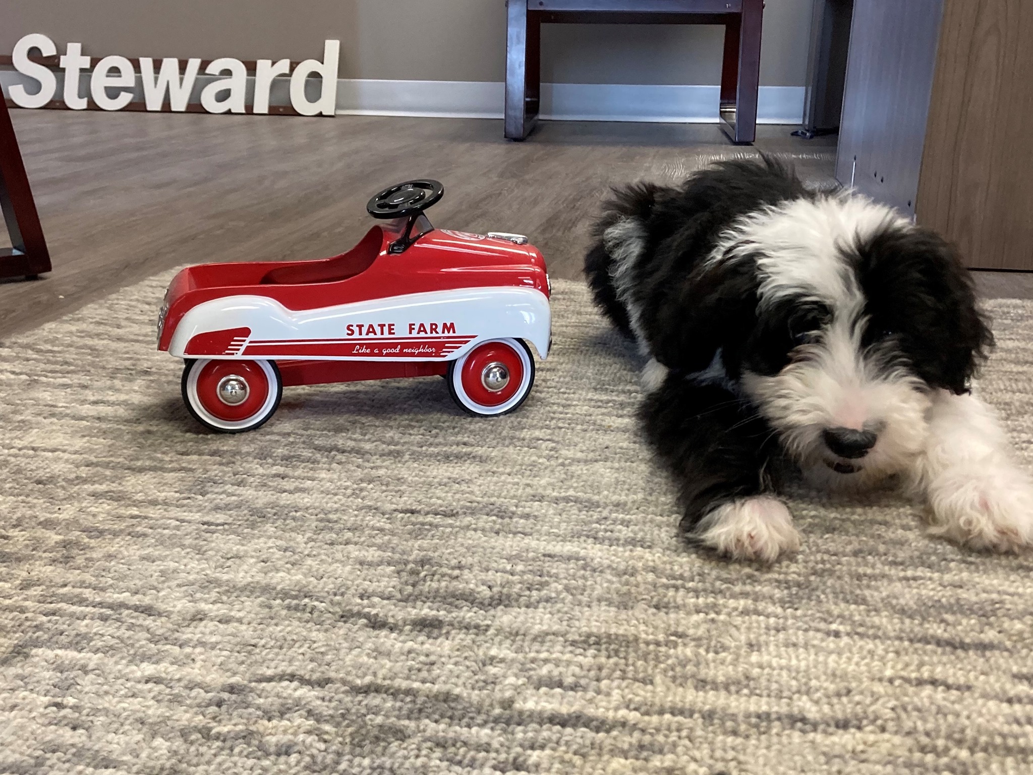 Frank Steward - State Farm Insurance Agent