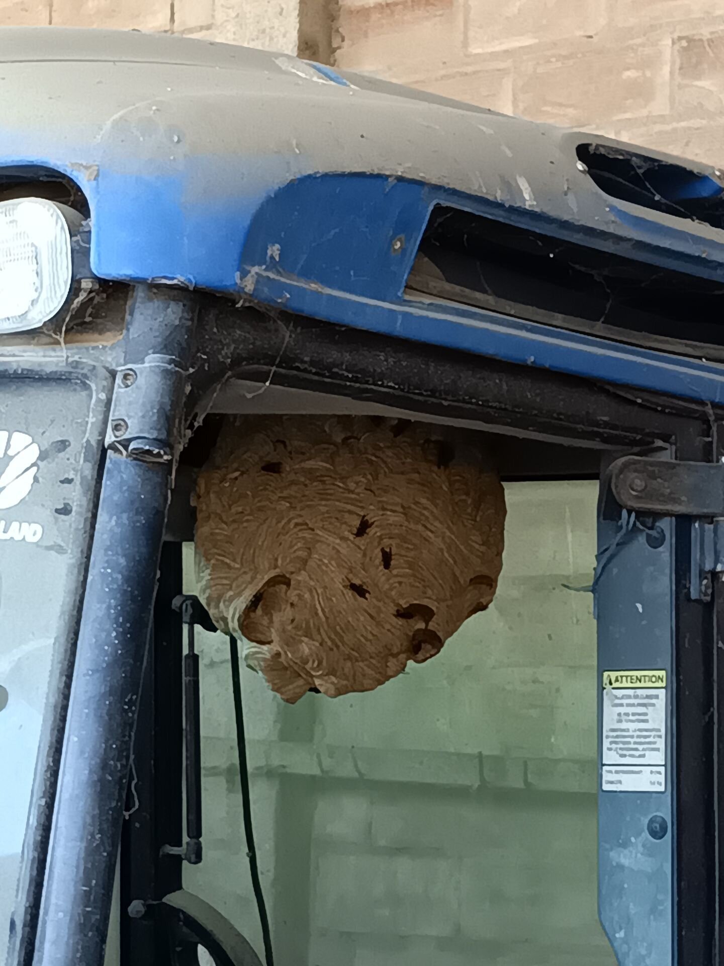 Images CLG Nuisibles-Guêpes-Frelons