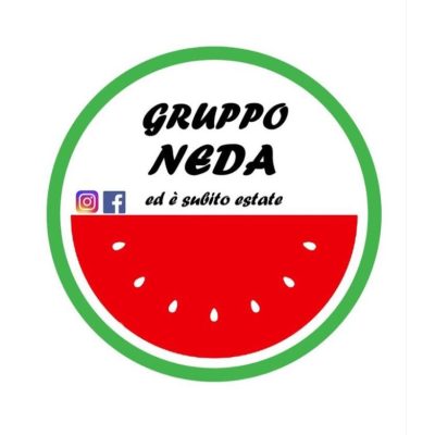Gruppo Neda Logo