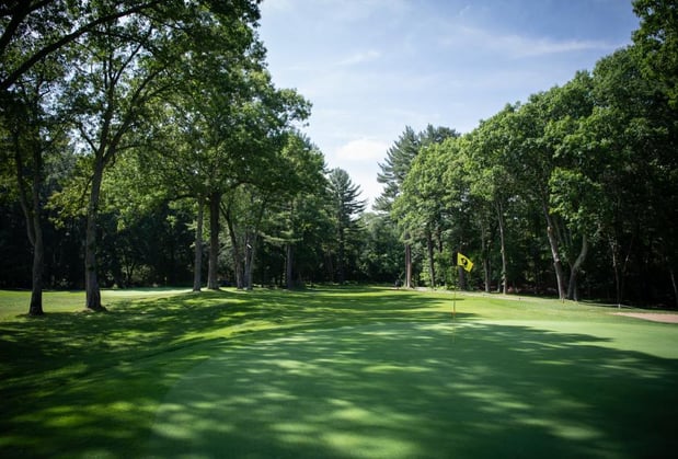 Images Willis Brook at Lynnfield