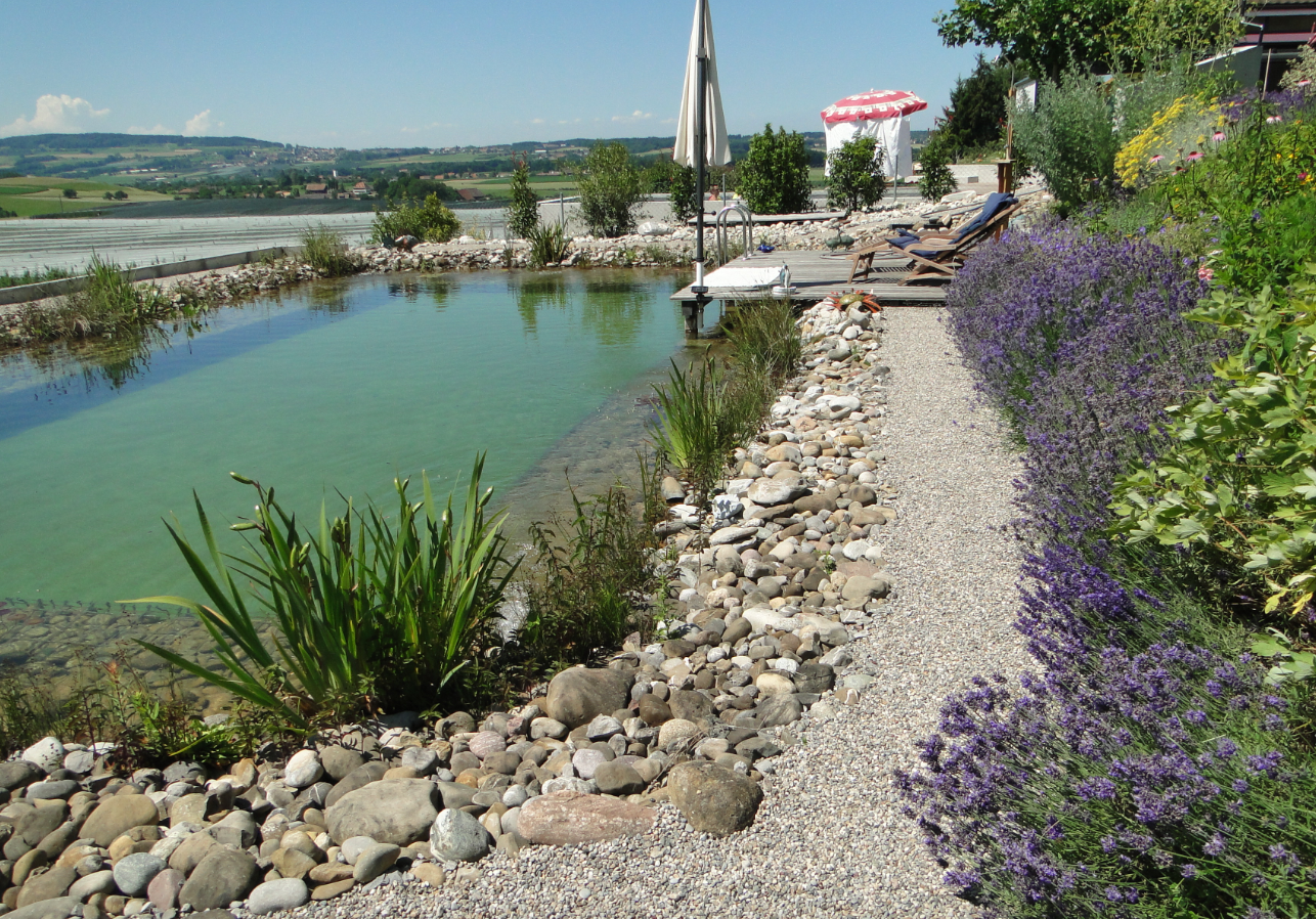 Rüttimann Garten GmbH, Frauenfelderstrasse 3 in Märstetten