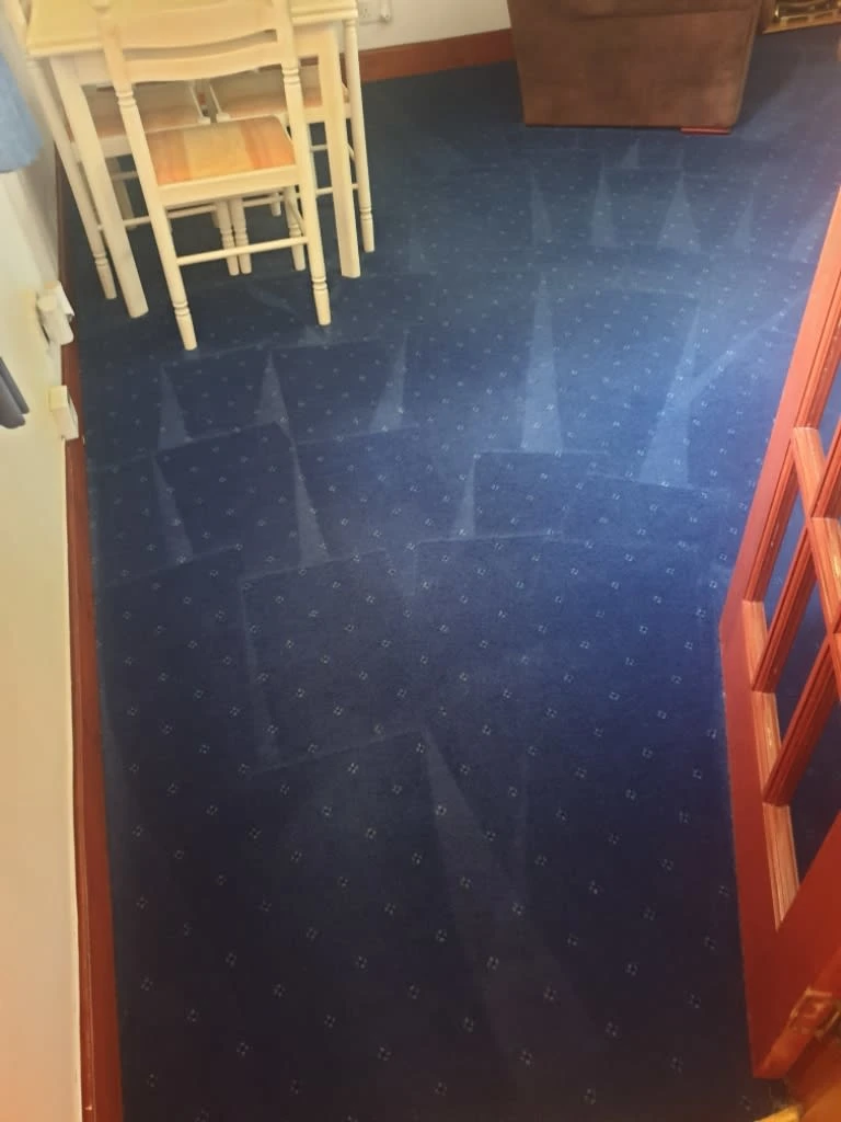 Images Johnshaven Carpet Cleaning Services