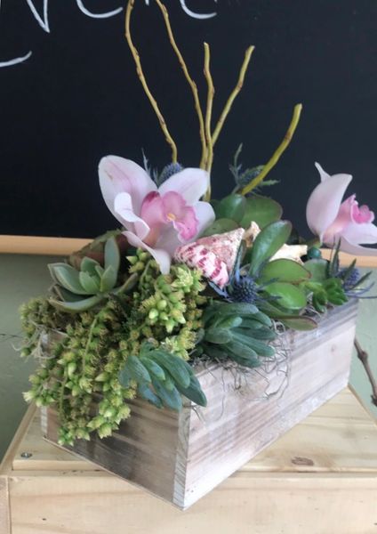 Seaside Succulent Garden with Orchids and Succulents.  A Love N’ Bloom signatures collection floral and succulent arrangement.