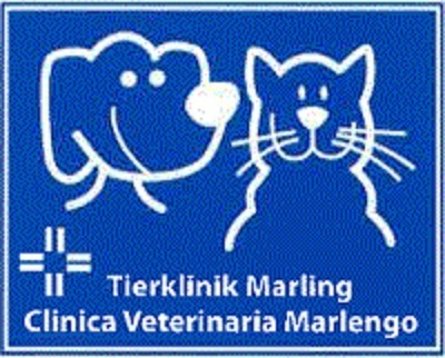 Images Clinica Veterinaria Marlengo