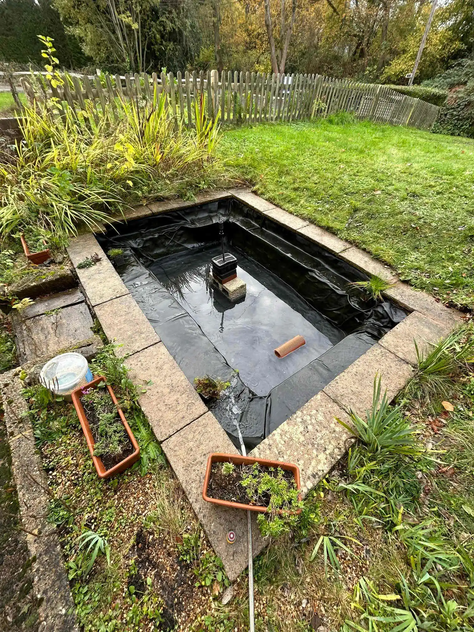 Images SJH Ponds & Aquariums