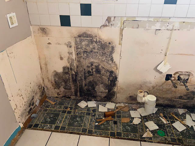 You can rely on SERVPRO of Boston Downtown/Back Bay/South Boston for all of your mold damage cleanup and remediation needs in South Boston, MA. Give us a call!