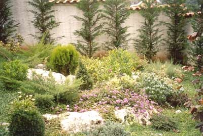 Images Pichichero Pasquale Vivai