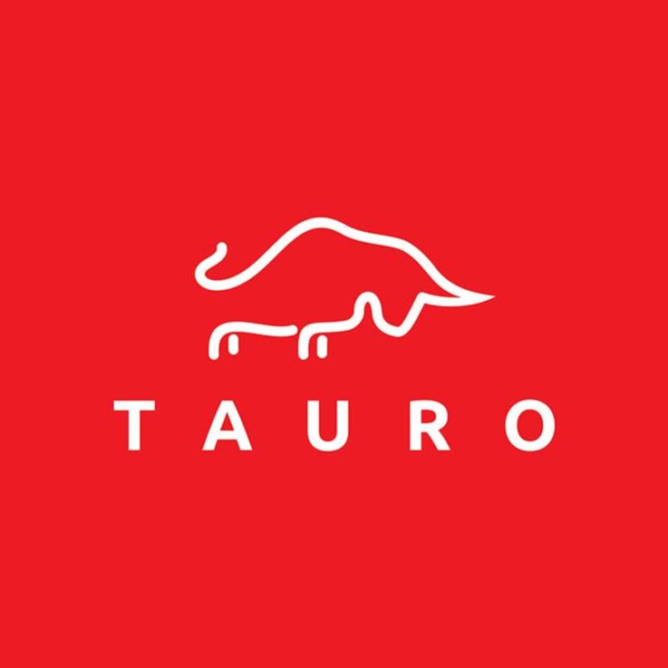 Tauro Capital Advisors, Inc.