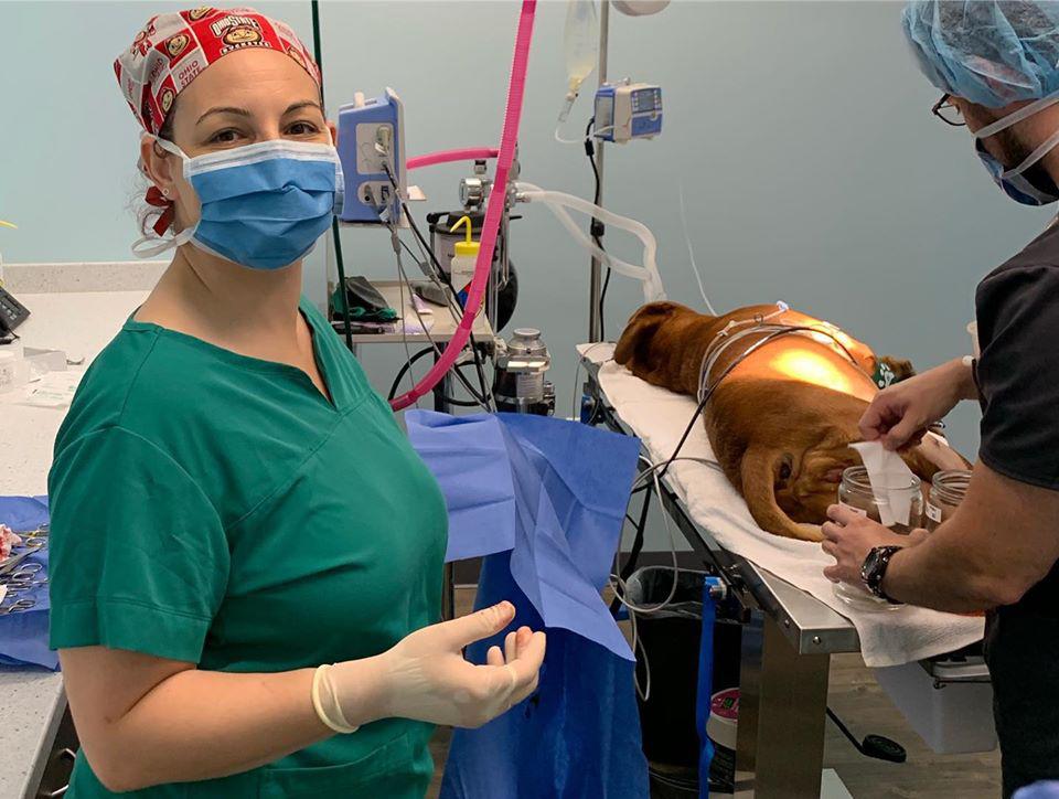 Family Vet Care Center Photo