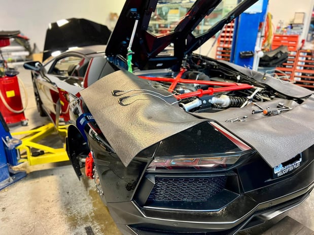 Images Loudoun County Exotics