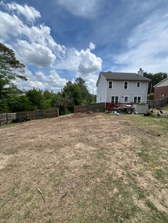 Images Carolina Tree Experts