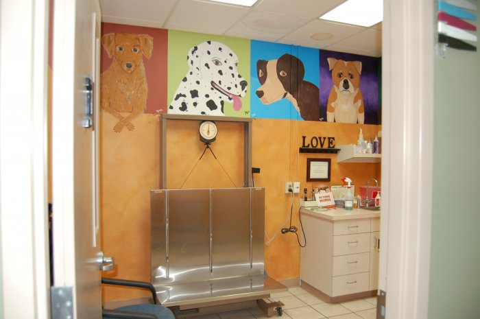 Images VCA Ashford Animal Hospital