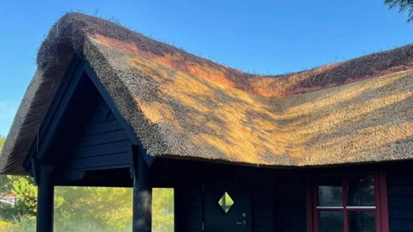 Images Blåvandshuk Tækkeforretning ApS