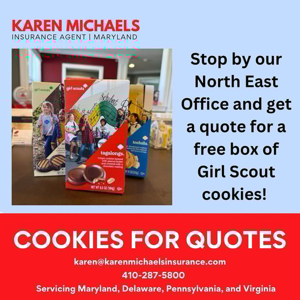 Images Karen Michaels - State Farm Insurance Agent