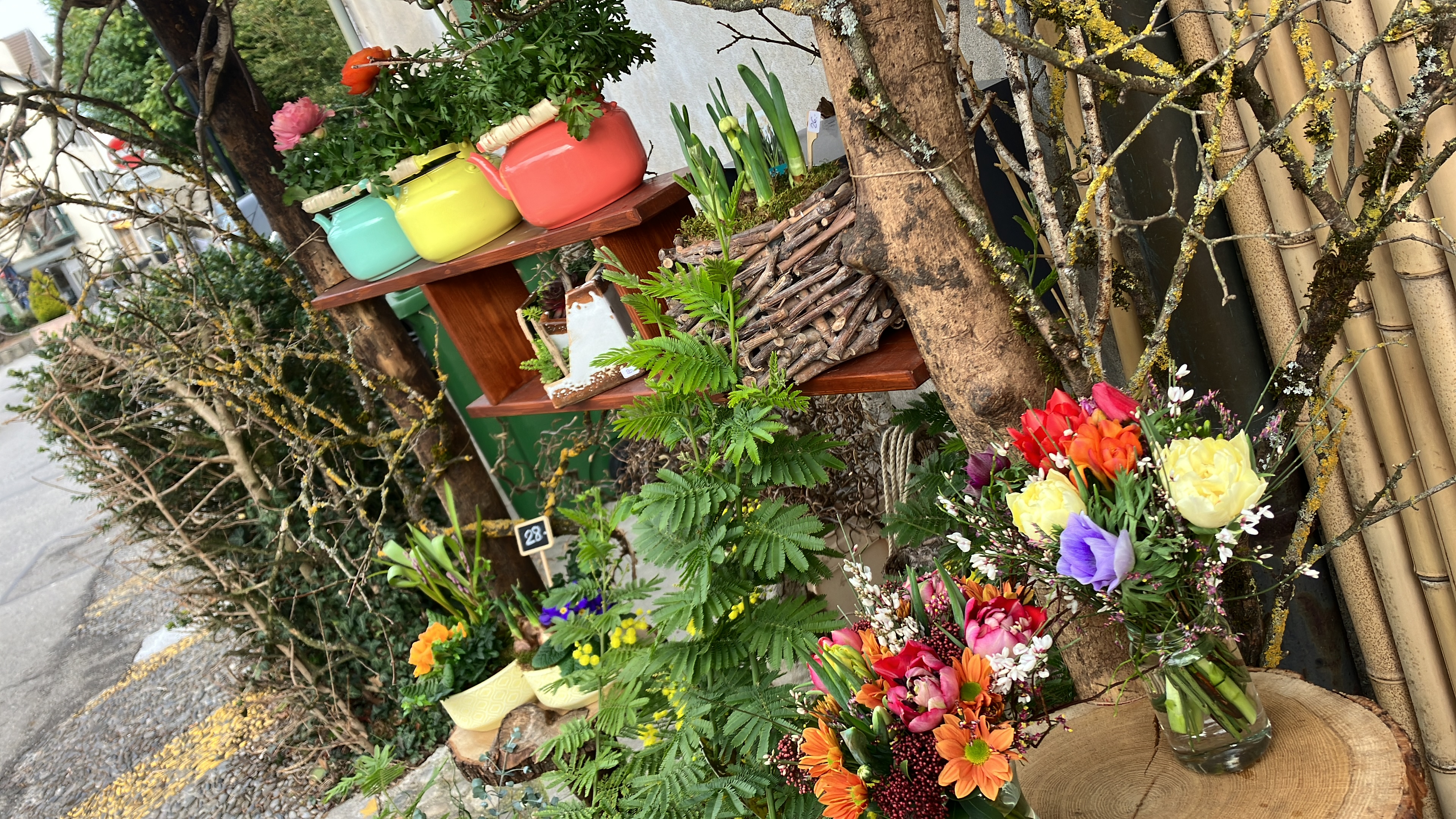 Bilder Fleurs d'Elfes