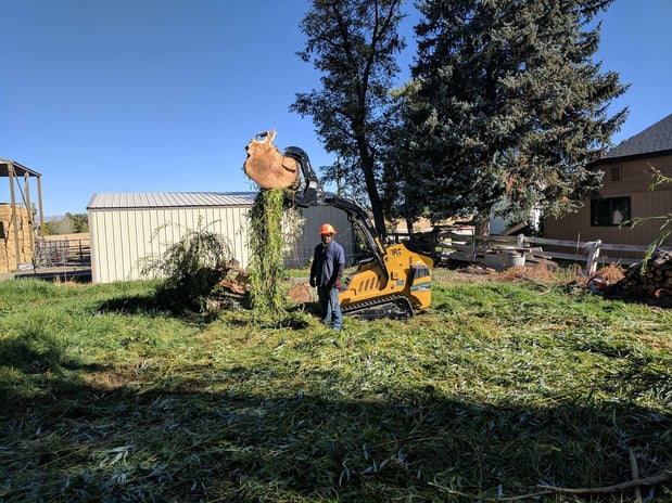 Images 4 Seasons Tree Service