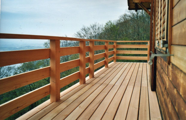 HOLZBAU PHILIPP UND WOLFGANG STALDER AG, Rigistrasse 96 in Weggis