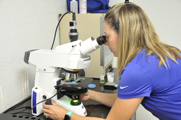 Images Palm Beach Equine Clinic