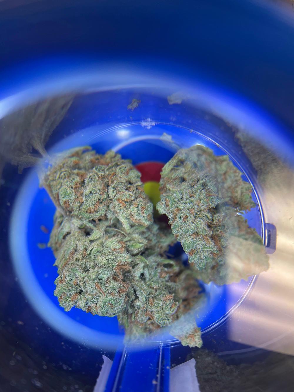 Star Buds Dispensary Las Animas