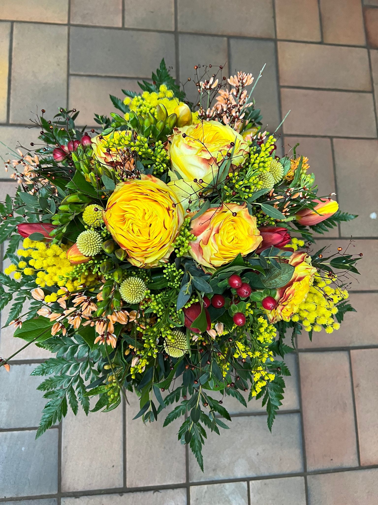 Kundenbild groß 2 Kitzinger Blumen und Pflanzen