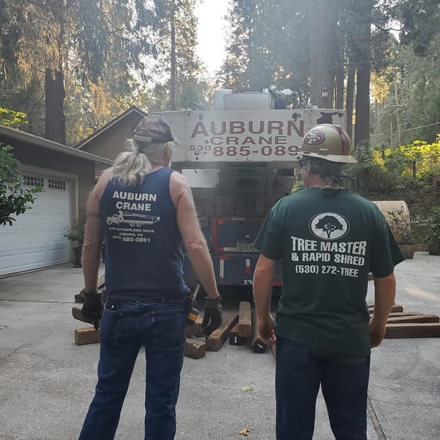 Images Am/Pm Tree Service, Inc.