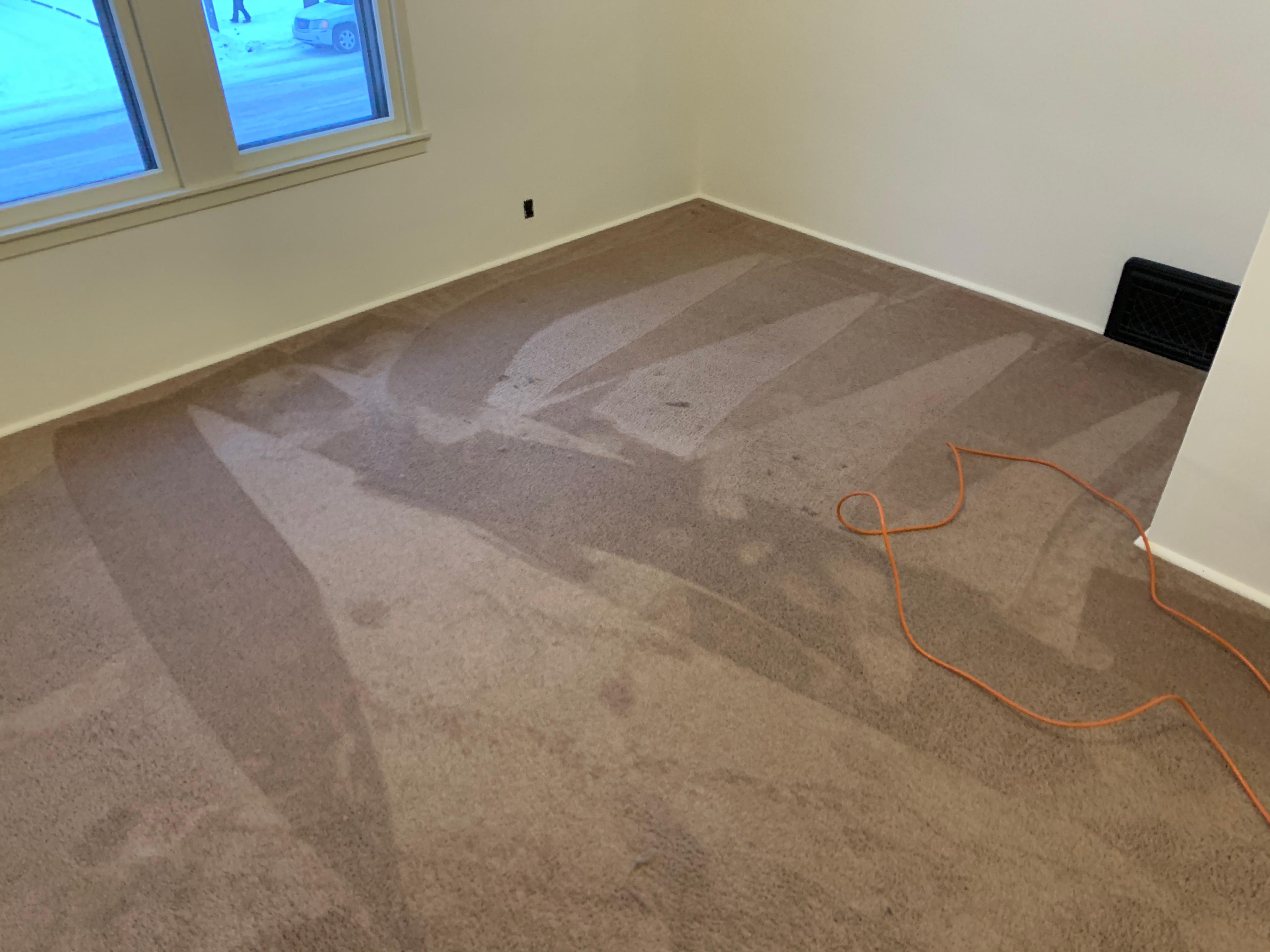 SteamerCo Carpet Cleaning Photo