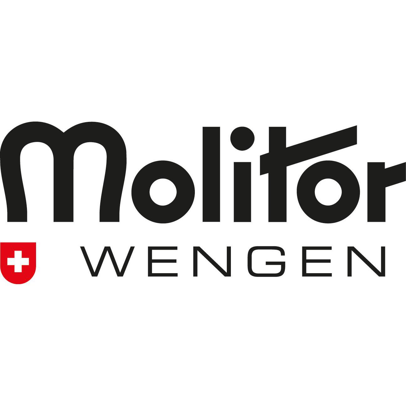 Molitor Sport AG Logo