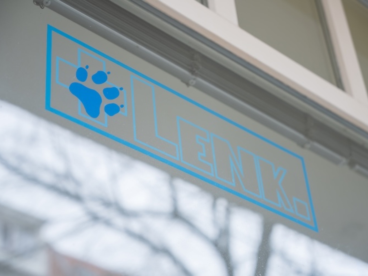 Bild der Tierphysiotherapie Berlin, Physiotherapie für Hunde und Katzen Uwe Lenk