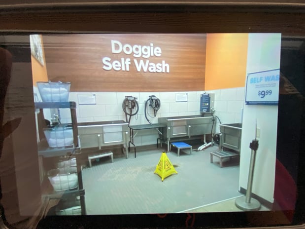 Images Petco Grooming