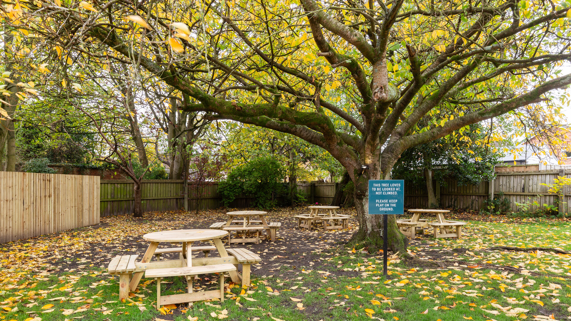 Images The Woodlands